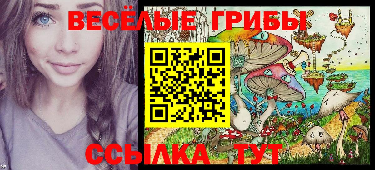 Псилоцибиновые грибы мицелий Миасс