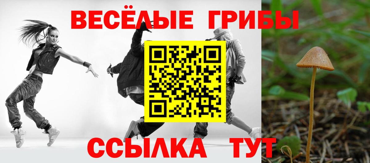 Галлюциногенные грибы Psilocybine cubensis  Вход с VPN  Миасс 